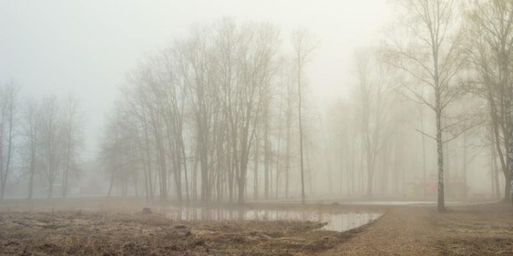Рязанцев предупредили об утреннем тумане 28 марта