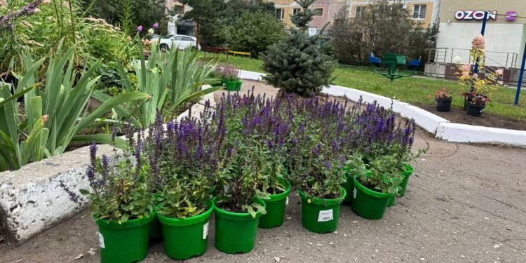 В Рязани появился новый сквер на улице Чкалова