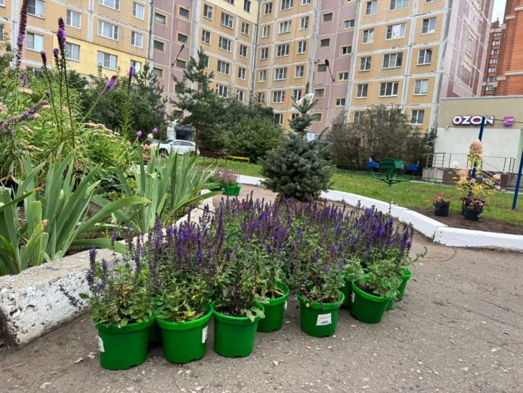 В Рязани появился новый сквер на улице Чкалова