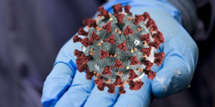 Заболеваемость COVID-19 в России возросла на 31,7%