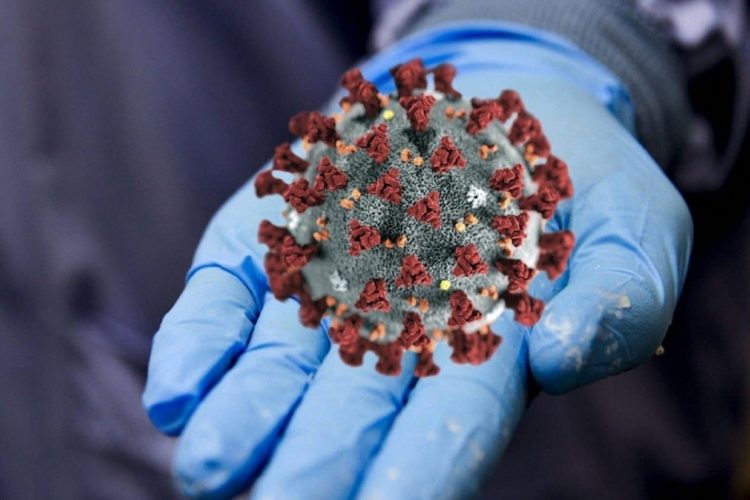 Заболеваемость COVID-19 в России возросла на 31,7%