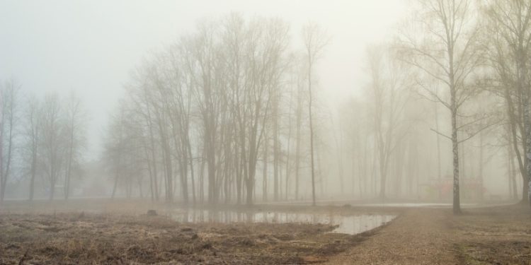 МЧС: в Рязанской области 14 апреля ожидается туман с видимостью до 800 метров
