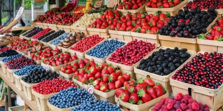 С начала году за незаконную торговлю в Рязани оштрафовали 1376 нарушителей