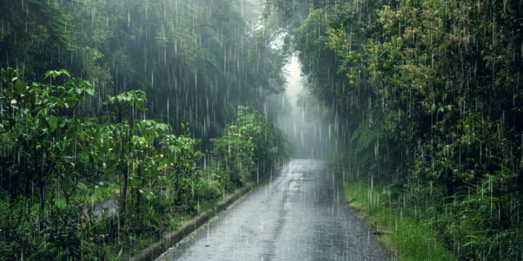 Тишковец: с 22 апреля в Центральной России ожидаются дожди с грозами Тишковец: с 22 апреля в Центральной России ожидаются дожди с грозами