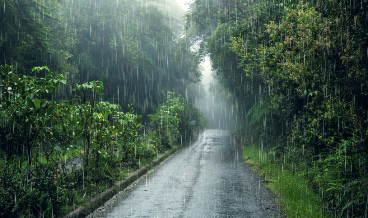 Тишковец: с 22 апреля в Центральной России ожидаются дожди с грозами