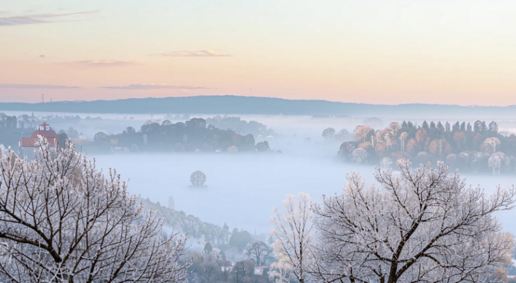 Синоптик Вильфанд: в декабре температура воздуха будет выше климатической нормы