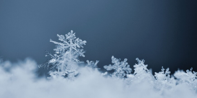 В ночь на субботу в Рязанской области похолодает до -15 градусов