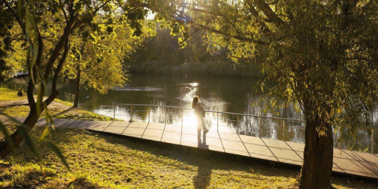 С 21 апреля в Рязанской области началось голосование за объекты благоустройства