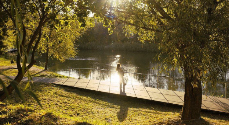 С 21 апреля в Рязанской области началось голосование за объекты благоустройства