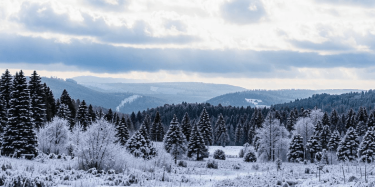 Синоптик Тишковец о погоде в конце ноября: «Зимы на горизонте не видно»