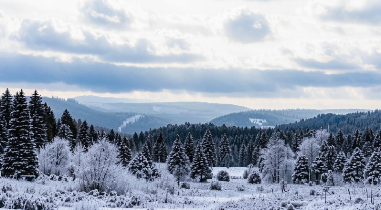 Синоптик Тишковец о погоде в конце ноября: «Зимы на горизонте не видно»