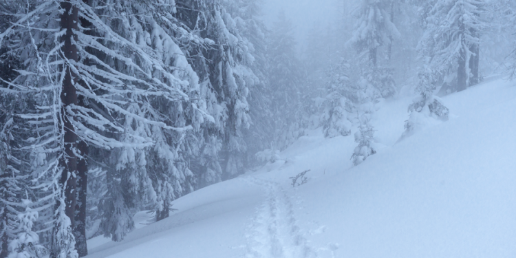 В субботу в Рязанской области ожидается метель и до -7 градусов В субботу в Рязанской области ожидается метель и до -7 градусов