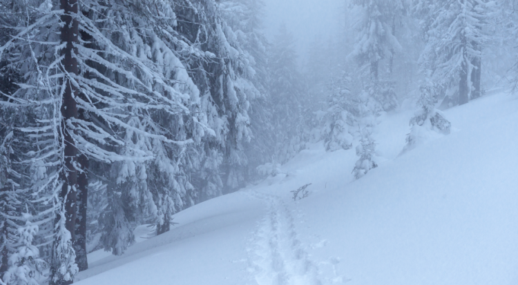 В субботу в Рязанской области ожидается метель и до -7 градусов