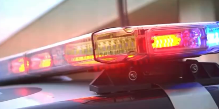 С 20 по 22 сентября в Рязанской области пройдут масштабные рейды