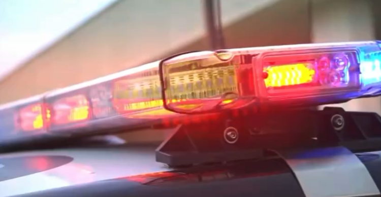 С 20 по 22 сентября в Рязанской области пройдут масштабные рейды