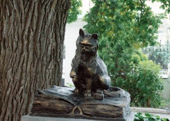 Ученый кот, установленный на территории РГУ имени Есенина, получил имя Магистр Ученый кот, установленный на территории РГУ имени Есенина, получил имя Магистр