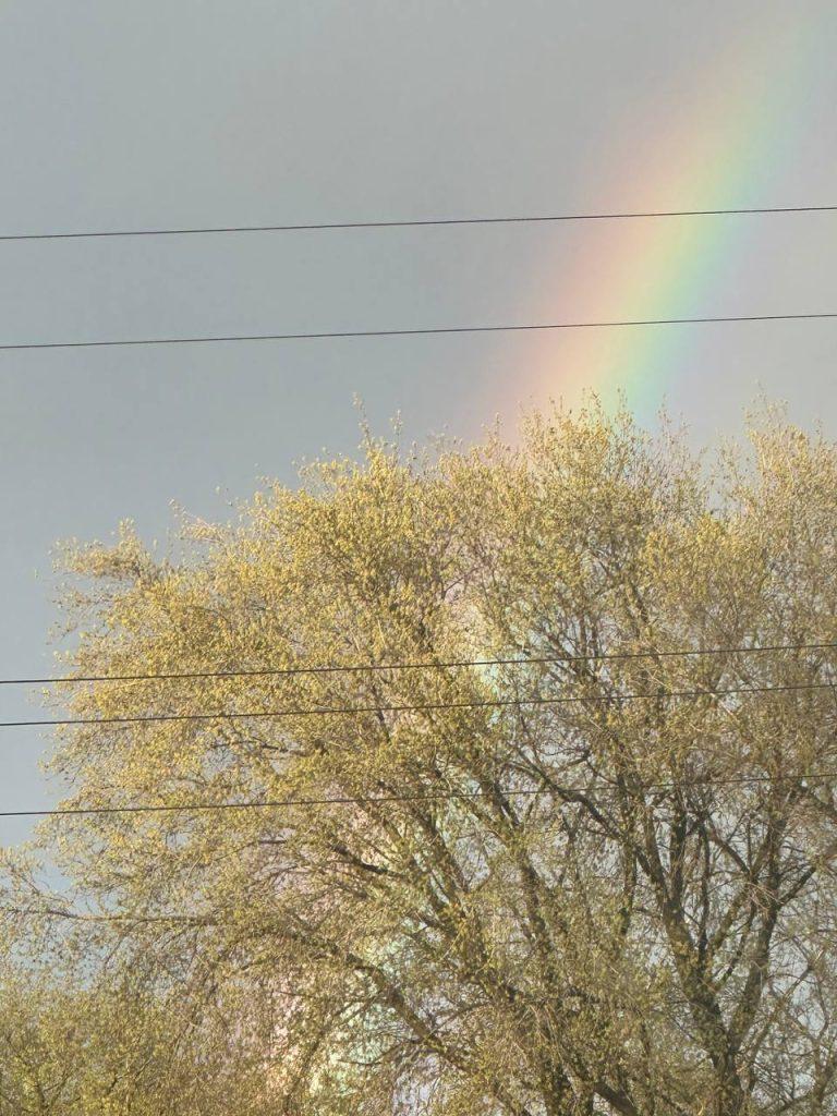 Рязанцы поделились яркими снимками радуги