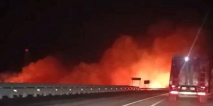 В Рыбновском районе около трассы М5 загорелась трава