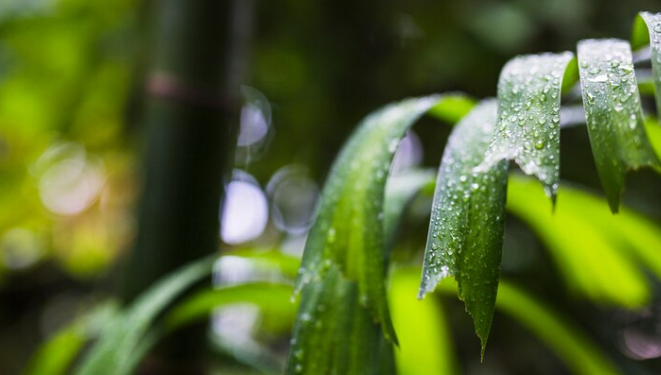 Вильфанд: следующая неделя в Центральной России стартует с похолодания