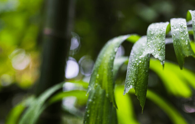 Вильфанд: следующая неделя в Центральной России стартует с похолодания