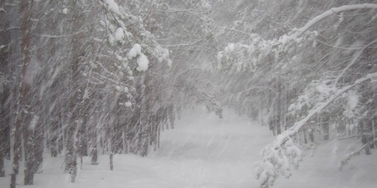 В пятницу в Рязанской области ожидается мокрый снег и до +1 градуса В пятницу в Рязанской области ожидается мокрый снег и до +1 градуса