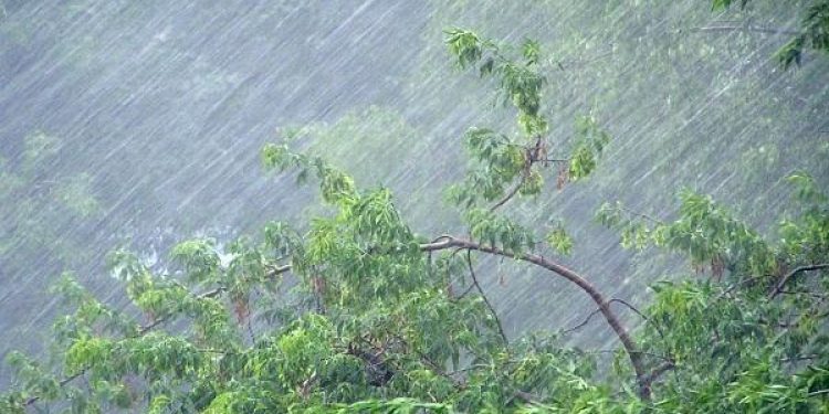 МЧС: 4 августа в Рязанской области ожидается ливень, гроза и град МЧС: 4 августа в Рязанской области ожидается ливень, гроза и град