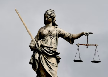 В отношении представителя рязанского ВООПИиК Кочеткова возбудили уголовное дело за клевету на застройщика В отношении представителя рязанского ВООПИиК Кочеткова возбудили уголовное дело за клевету на застройщика