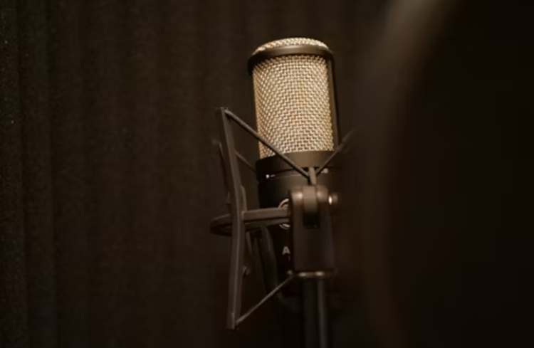 Россия собирается помочь Саудовской Аравии в проведении конкурса "Интервидение"