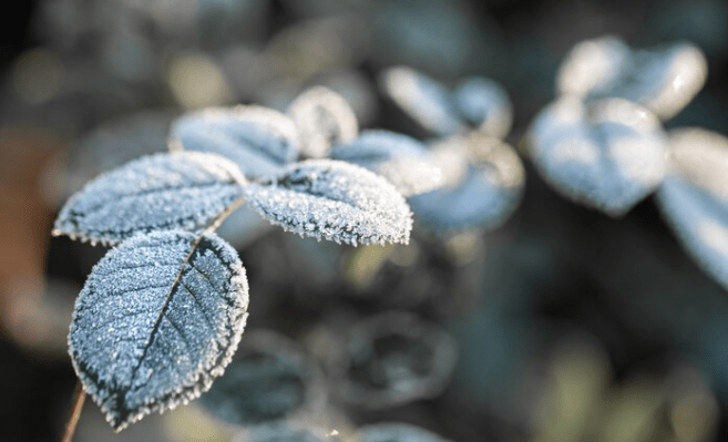 Метеоролог Позднякова: в сентябре в Центральной России ожидаются первые заморозки