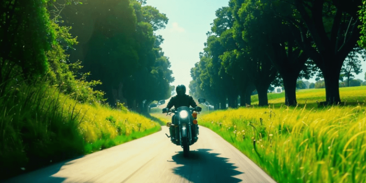 В Александро-Невском районе задержали 27-летнего мотоциклиста без водительских прав