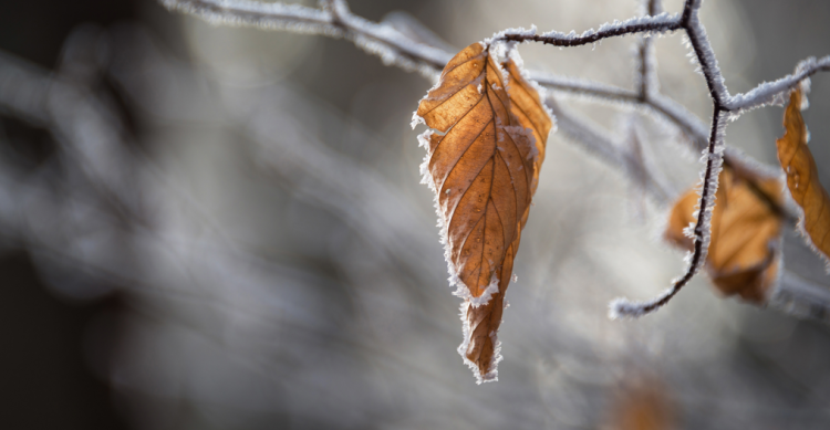 Россиян предупредили об ощутимом похолодании на следующей неделе
