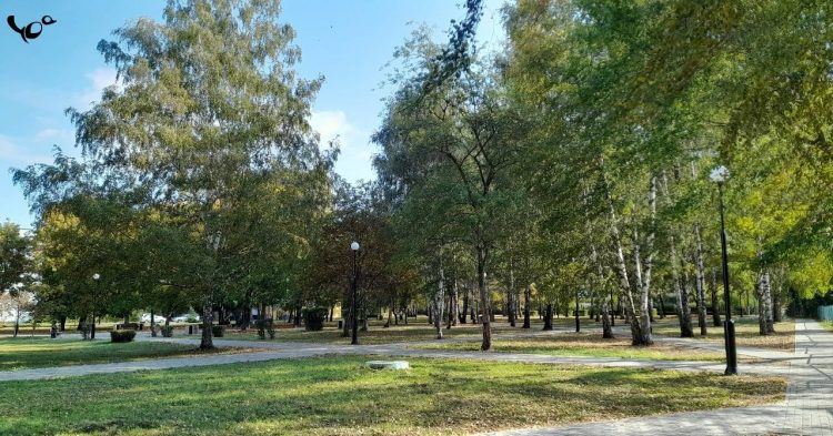 Гидрометцентр: 1 ноября в Рязани зарегистрировали температурный рекорд