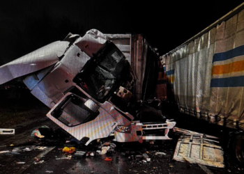 В ДТП с двумя грузовиками в Рязанской области пострадал один человек В ДТП с двумя грузовиками в Рязанской области пострадал один человек