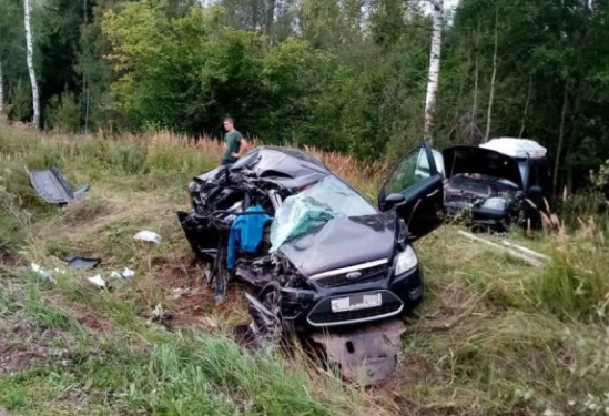 Супруг погибшей в ДТП рязанки выдвинул свою версию произошедшего