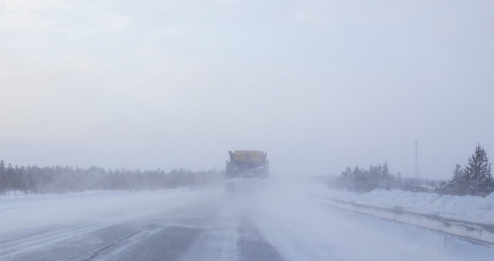 МЧС: 6 февраля в Рязанской области ожидается туман с видимостью до 800 метров