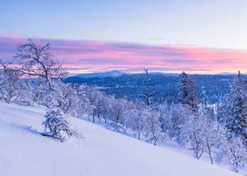 Гидрометцентр: в Рязанскую область возвращается зима Гидрометцентр: в Рязанскую область возвращается зима
