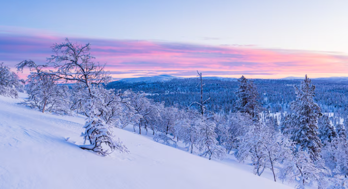 Гидрометцентр: в Рязанскую область возвращается зима Гидрометцентр: в Рязанскую область возвращается зима