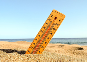 МЧС: с 22 по 24 апреля в Рязанской области ожидается аномальная жара