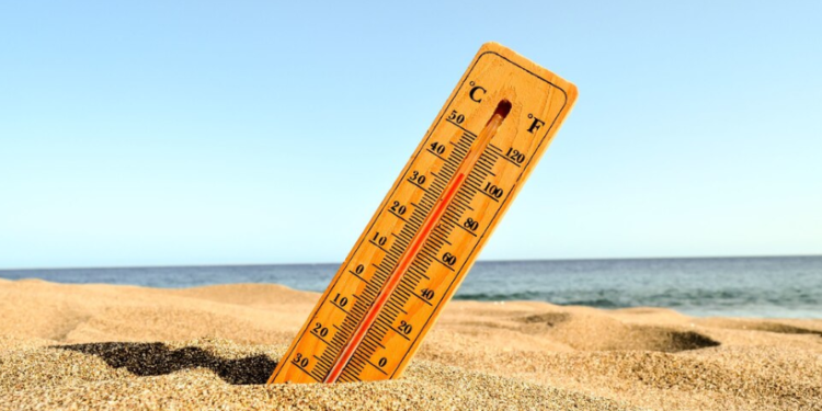 МЧС: с 22 по 24 апреля в Рязанской области ожидается аномальная жара