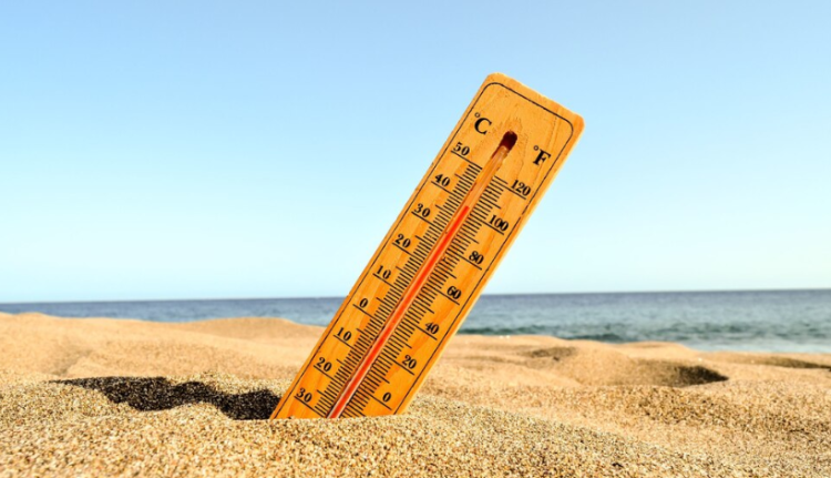 МЧС: с 22 по 24 апреля в Рязанской области ожидается аномальная жара