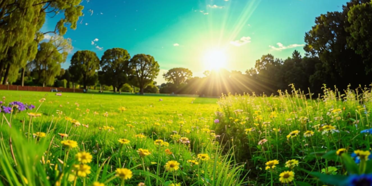 В четверг в Рязанской области ожидается до +24 градусов