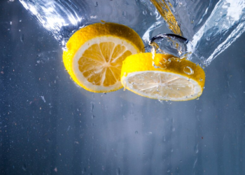 Врач Новикова: россиянам с язвой желудка нельзя пить воду с лимоном Врач Новикова: россиянам с язвой желудка нельзя пить воду с лимоном