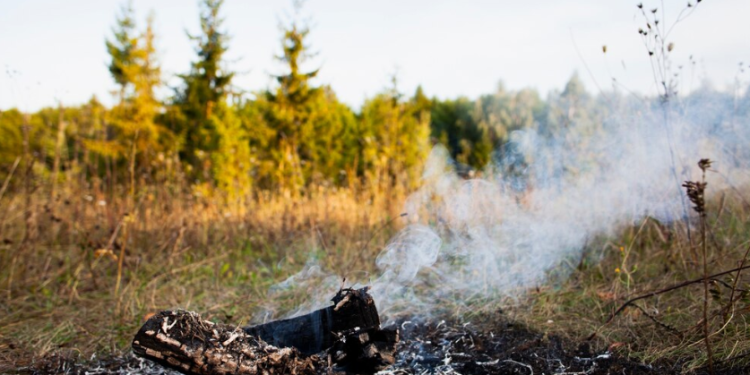 Лесные пожары в Рязанской области могут начаться в апреле-мае
