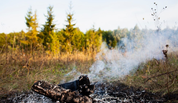 Лесные пожары в Рязанской области могут начаться в апреле-мае