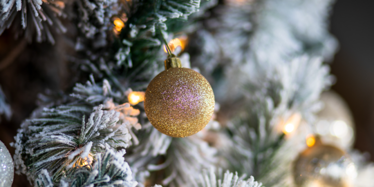 На Рязанской ВДНХ установят 500 новогодних елей