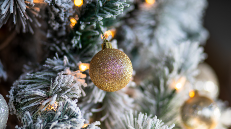 На Рязанской ВДНХ установят 500 новогодних елей