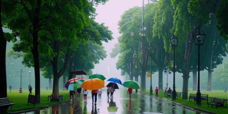 12 августа в Рязанской области похолодает до +22 градусов