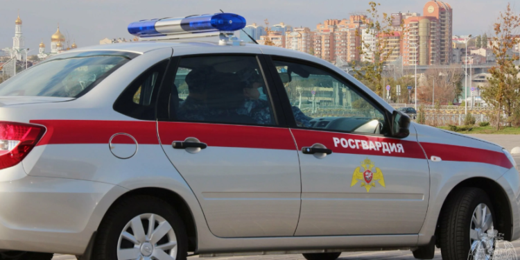 В рязанском Новомичуринске росгвардейцы спасли тонущего мужчину В рязанском Новомичуринске росгвардейцы спасли тонущего мужчину