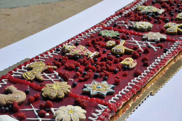 Рязанцев угостили 100-метровым пирогом в честь Дня города