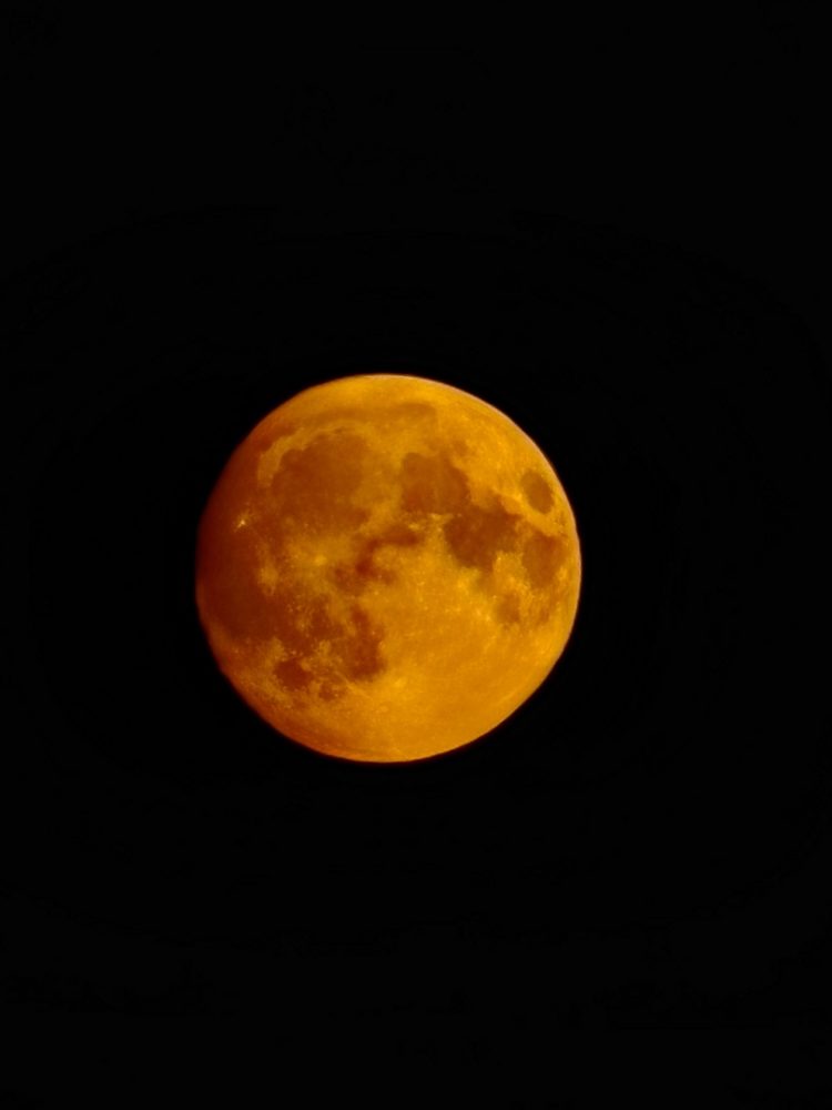 Вечером 17 сентября рязанцы запечатлели суперлуние